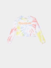 Повсякденний костюм Reebok модель C4583RG_MULTICOLOR Фото