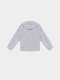 Повседневный костюм Reebok модель C4593RG_GREY Повседневный костюм Reebok модель C4593RG_GREY Фото