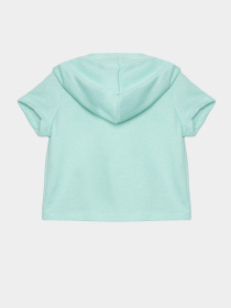 Повсякденний костюм Reebok модель C4690RG1_GREEN Фото