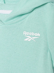 Повсякденний костюм Reebok модель C4690RG1_GREEN Фото