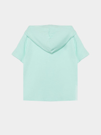 Повсякденний костюм Reebok модель C4690RG4_GREEN Фото