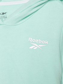 Повсякденний костюм Reebok модель C4690RG4_GREEN Фото