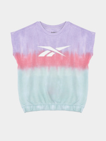 Повседневный костюм Reebok модель C4691RG4_MIX Фото