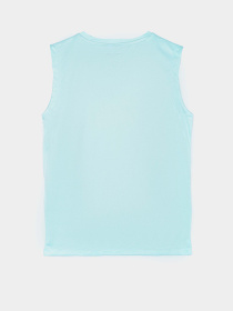 Повсякденний костюм Reebok модель C9001RB4_BLUE Фото