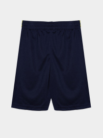 Костюм Reebok модель C9002RB4_mix Фото