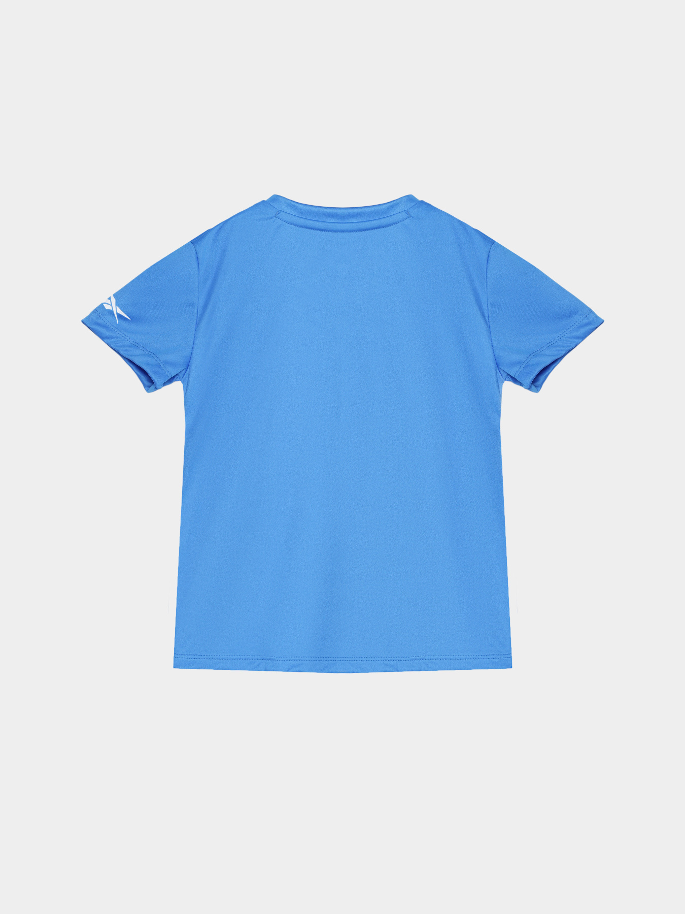 Повсякденний костюм Reebok модель C9035RB4_BLUE/GREY Фото