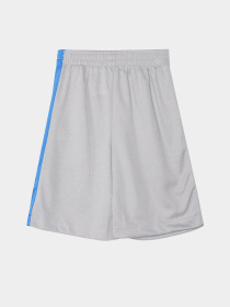 Повсякденний костюм Reebok модель C9035RB4_BLUE/GREY Фото