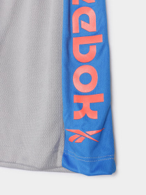 Повсякденний костюм Reebok модель C9035RB4_BLUE/GREY Фото