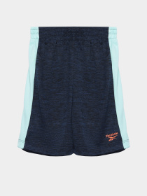 Повсякденний костюм Reebok 2 PIECES BRAND LOGO модель C9036RB4AU_BLUE Фото