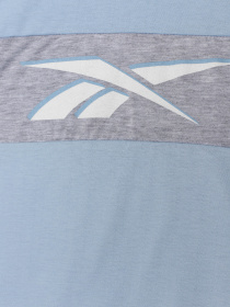 Повсякденний костюм Reebok модель C9870RB_MIX Фото