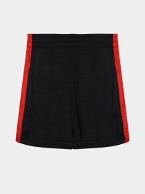 Повседневный костюм Reebok модель C9910RB_mix Повседневный костюм Reebok модель C9910RB_mix Фото