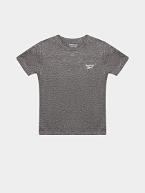 Костюм Reebok 3 Pieces Set модель C9913RB_BLUE/GREY Фото