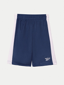 Костюм Reebok 3 Pieces Set модель C9913RB_BLUE/GREY Фото