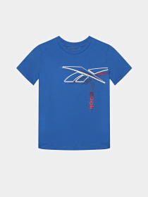 Костюм Reebok 3 Pieces Set модель C9913RB_BLUE/GREY Фото