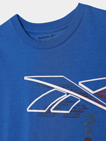 Повсякденний костюм Reebok 3 PIECES SET модель C9913RB_BLUE/GREY Фото