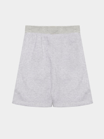 Костюм Reebok модель C9929RB_GREY Фото