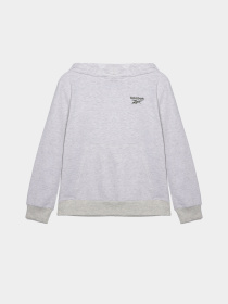 Повсякденний костюм Reebok модель C9929RB_GREY Фото