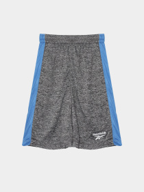 Костюмы Reebok модель C9991RB4AU_BLUE Фото
