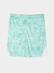 Повсякденний костюм Reebok модель C9993RB1_WHITE/GREEN Фото