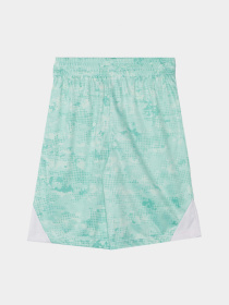 Костюм Reebok модель C9993RB4_white/green Фото