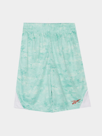 Повсякденний костюм Reebok модель C9993RB4_white/green Фото