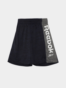 Повсякденний костюм Reebok модель C9996RB2_MIX Фото