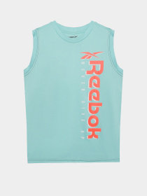 Повсякденний костюм Reebok модель C9996RB8_BLUE/GREY Фото