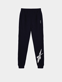 Штаны спортивные Reebok модель E2813RB8_NAVY BLUE Фото