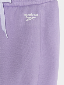 Штани повсякденні Reebok модель E4532RG_MULTICOLOR Фото