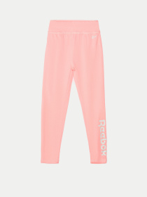 Леггинсы Reebok 2 PACK BRAND LOGO модель E4563RG_MULTICOLOR Фото