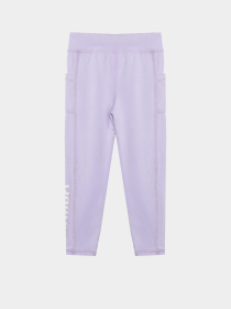 Легінси Reebok 2 Pack Brand Logo Tight Set модель E4565RG_BLACK/PURPLE Фото