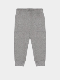 Повсякденні штани Reebok модель E9077RB2WN_GREY Фото