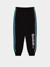Повседневные штаны Reebok SPORTSWEAR FIT TRAINING модель E9078RB4_BLACK Фото