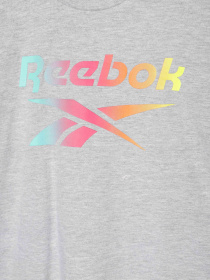 Футболка Reebok модель H9191RB8_GREY Фото