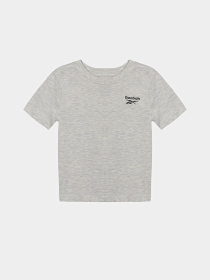 Футболка Reebok модель H9891RB_GRAY Фото