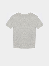 Футболка Reebok модель H9891RB_GRAY Фото