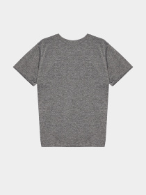 Футболка Reebok модель H9895RB_BLACK/GREY Фото