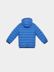 Зимняя куртка Reebok модель OCRB1063TK_BLUE Фото