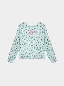 Худи Reebok модель Q4787RG7_GREEN Фото