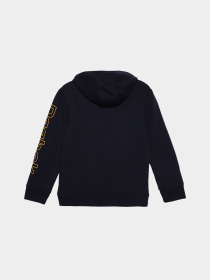Худі Reebok модель Q89476RBI_NAVY BLUE Фото