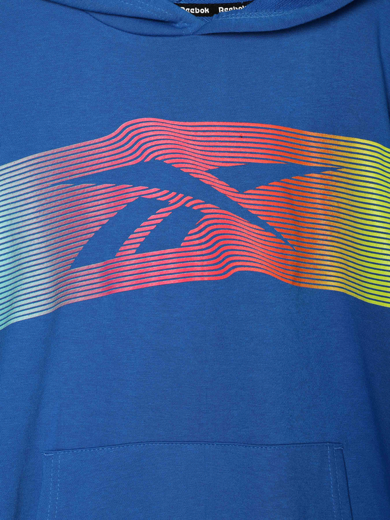 Худі Reebok модель Q9192RB2_BLUE Фото