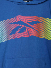 Худі Reebok модель Q9192RB8_BLUE Фото