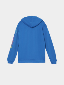 Худі Reebok модель Q9192RB8_BLUE Фото