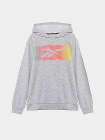 Худи Reebok модель Q9192RB8AU_GREY Фото