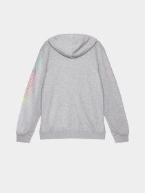 Худи Reebok модель Q9192RB8AU_GREY Худи Reebok модель Q9192RB8AU_GREY Фото