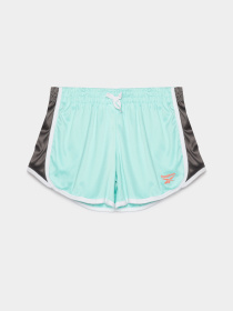 Шорты Reebok модель S4548RG_MULTICOLOR Фото