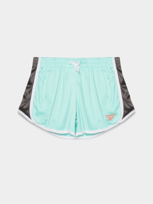 Повсякденні шорти Reebok модель S4548RG_MULTICOLOR Фото