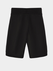 Повсякденні шорти Reebok модель S4580RG_MULTICOLOR Повсякденні шорти Reebok модель S4580RG_MULTICOLOR Фото