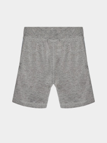 Повсякденні шорти Reebok модель S4580RG_MULTICOLOR Фото