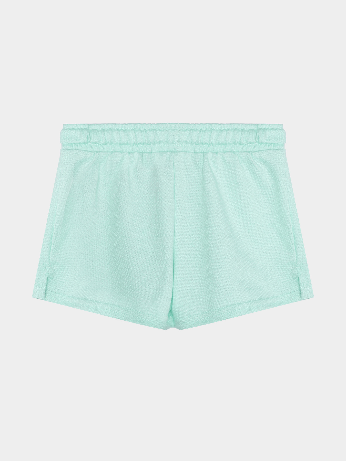 Шорты Reebok модель S4729RG4_PINK/GREEN Фото